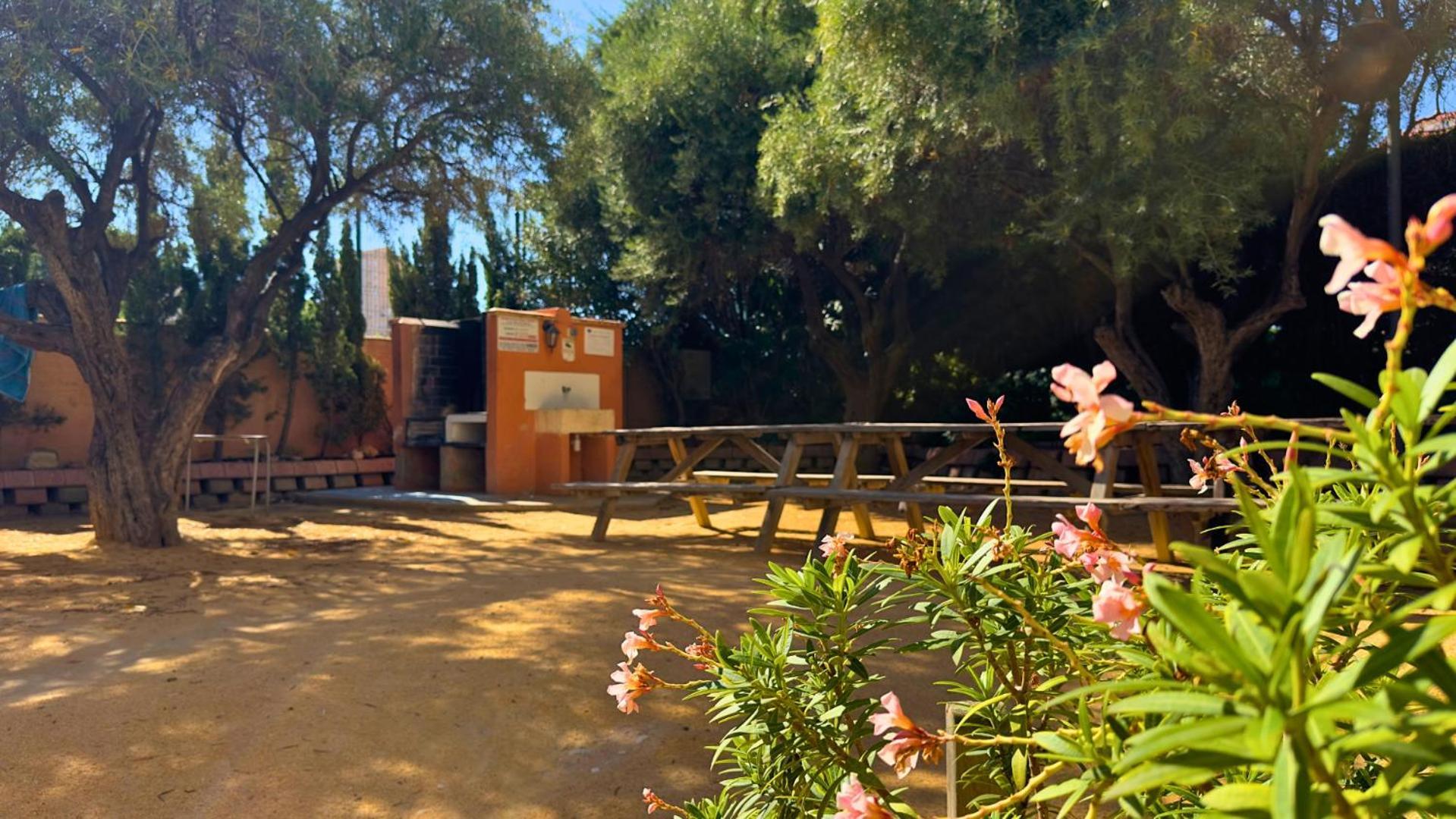 Appartamento Atico A 50M Del Mar. Parking Gratis. A/C El Campello Esterno foto